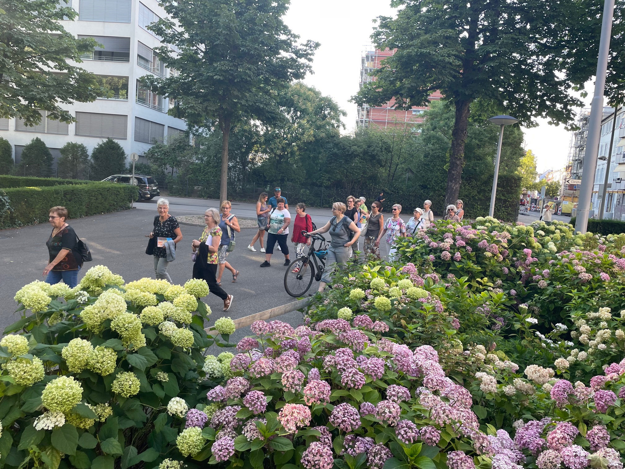Sommerprogramm 2:23_1
